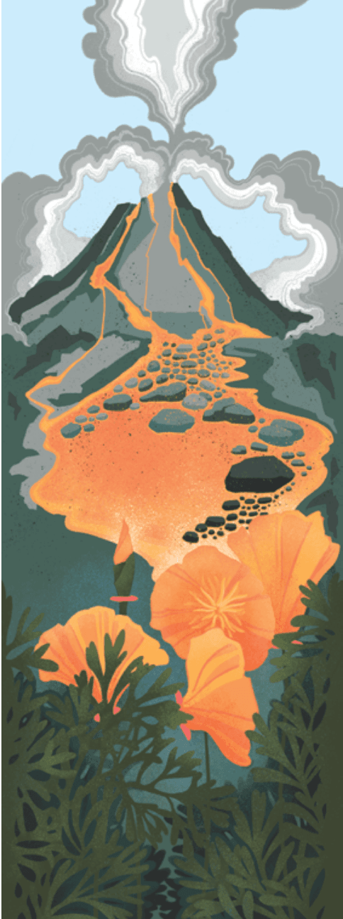 Point Reyes Myriorama card 3