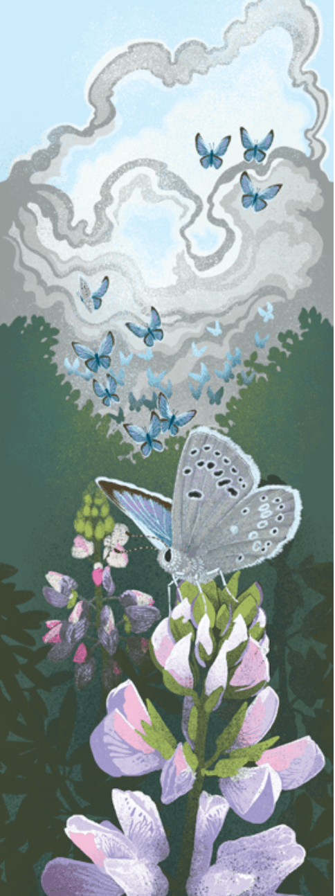 Point Reyes Myriorama card 2