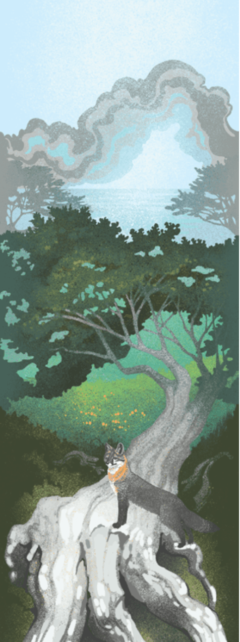 Point Reyes Myriorama card 2